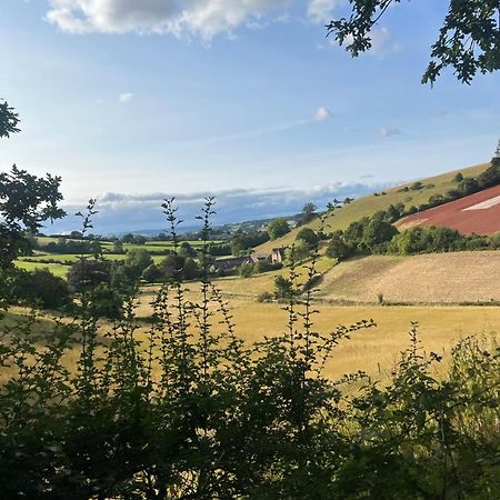 Countryside Converted Barn With Hot Tub Newton Abbot Exteriér fotografie