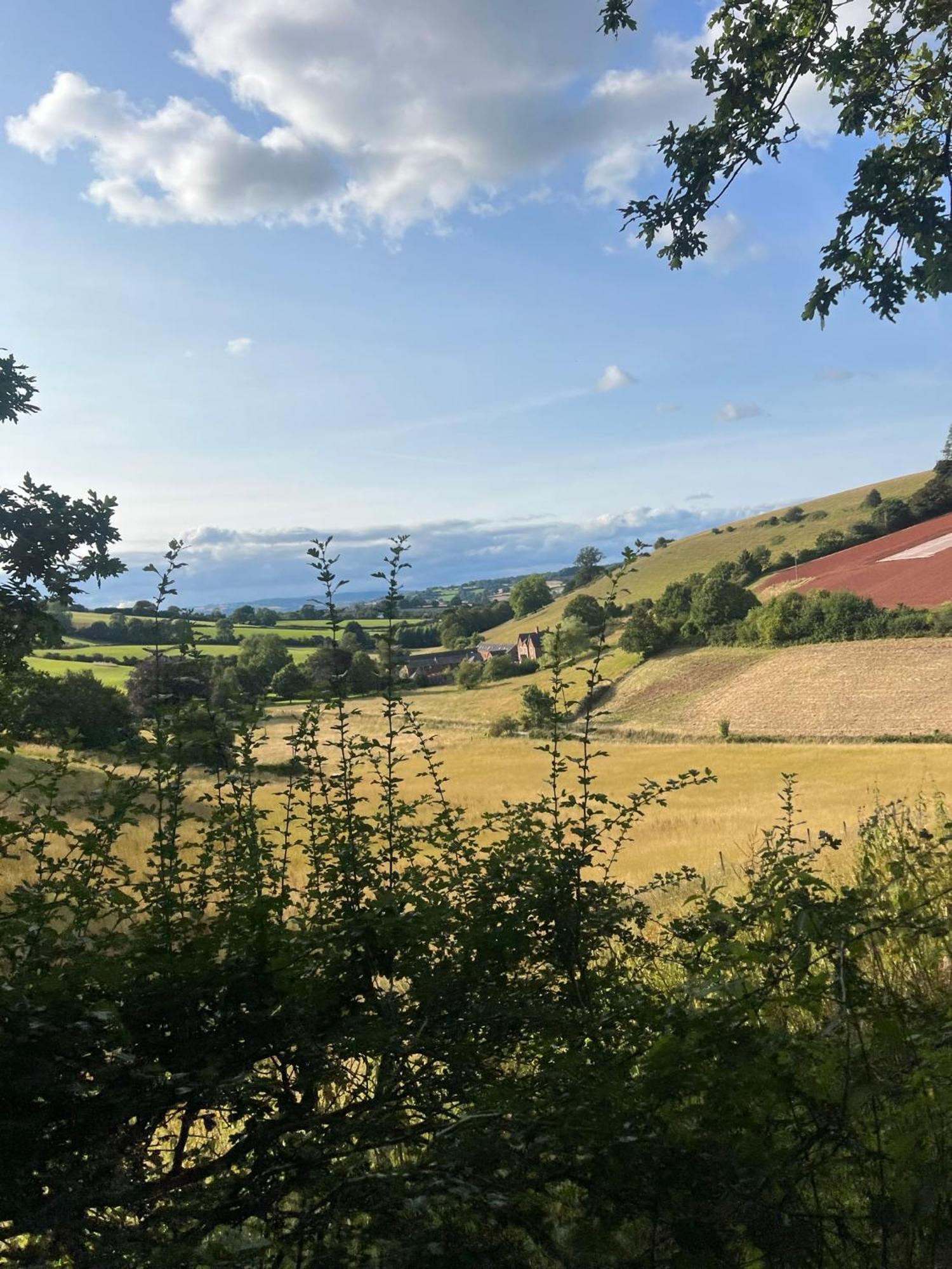 Countryside Converted Barn With Hot Tub Newton Abbot Exteriér fotografie